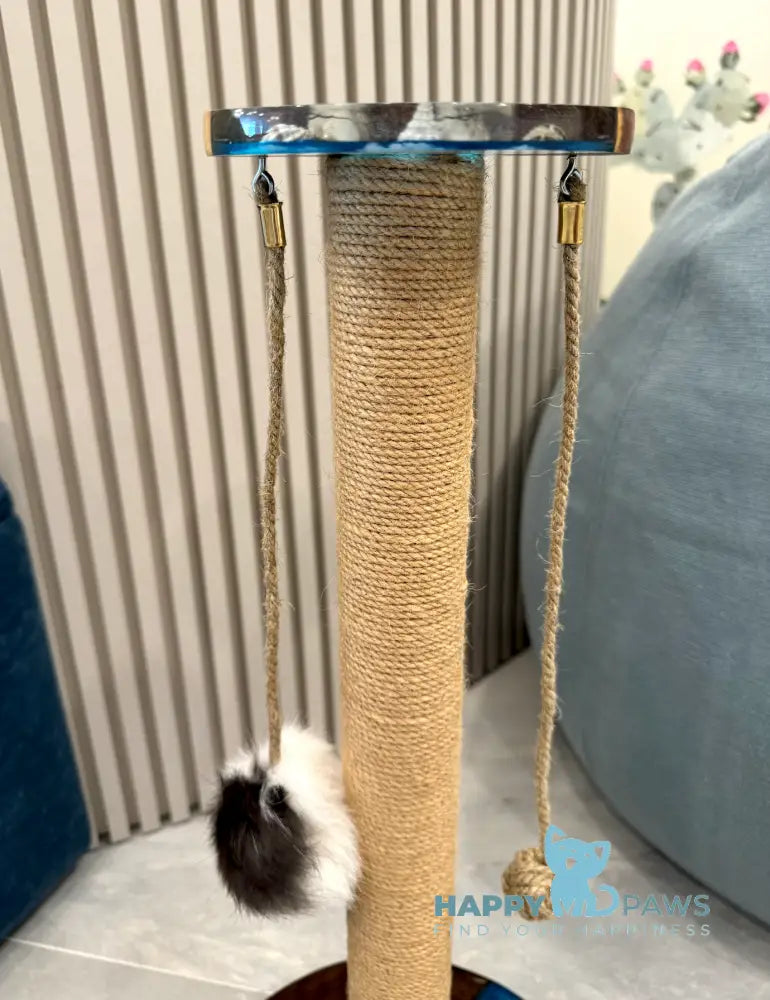 Scratching Post Ocean Waves Animals & Pet Supplies