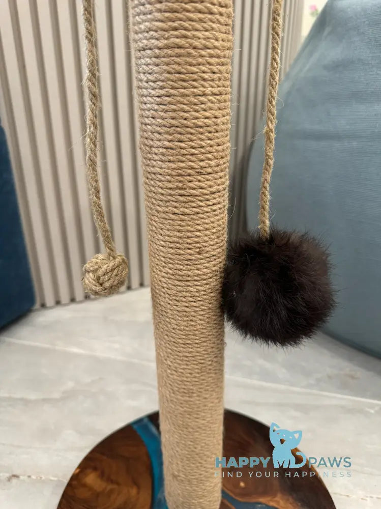 Scratching Post Ocean Waves Animals & Pet Supplies