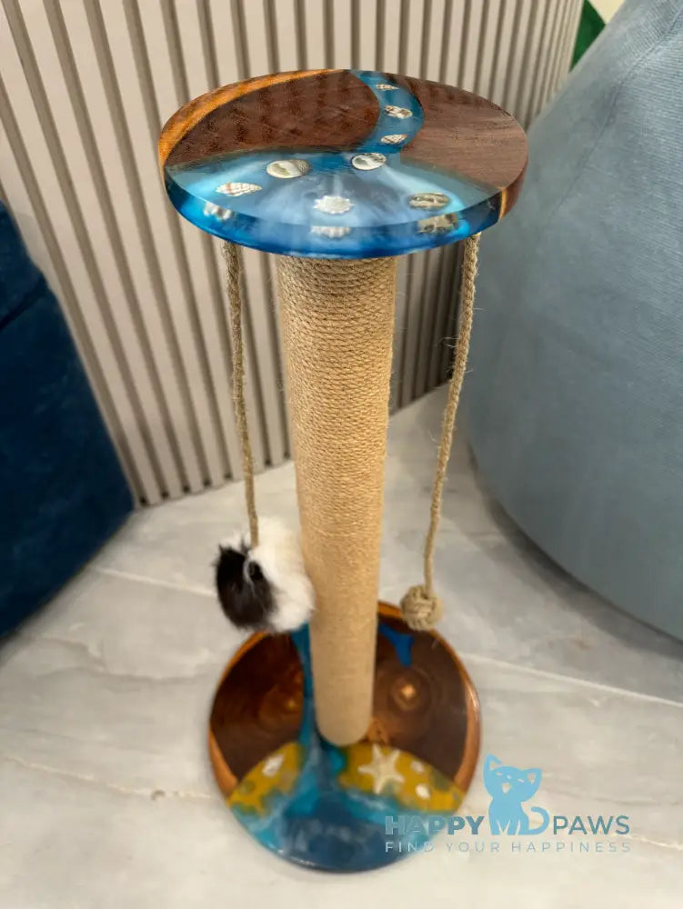 Scratching Post Ocean Waves Animals & Pet Supplies